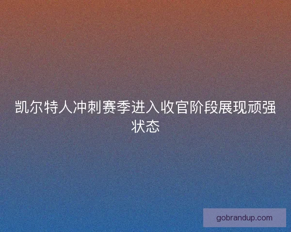 凯尔特人冲刺赛季进入收官阶段展现顽强状态